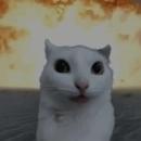 CataAdv